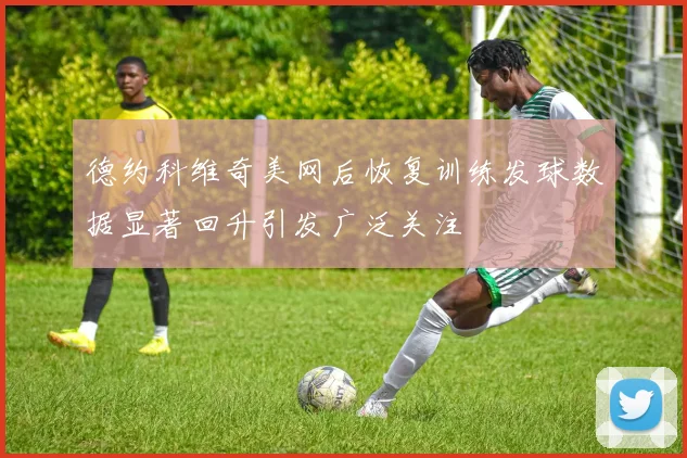 德约科维奇美网后恢复训练发球数据显著回升引发广泛关注